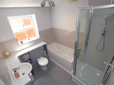 Picture 19